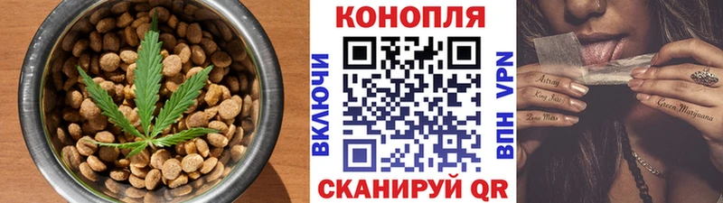 сколько стоит Агрыз Cannafood конопля
