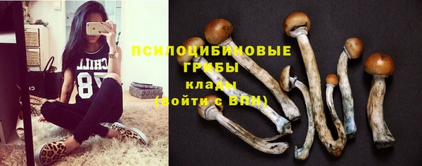 экстази Сафоново