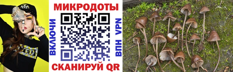 Псилоцибиновые грибы Psilocybine cubensis  Агрыз 